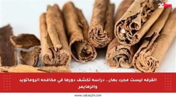 القرفة ليست مجرد بهار.. دراسة تكشف دورها في مكافحة الروماتويد والزهايمر
